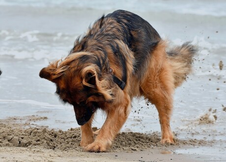 lekker badderen in zee en daarna warm spelen in het zand