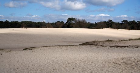 Soesterduinen