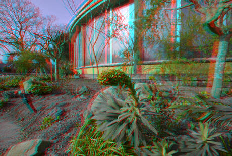 Blijdorp Victoria-serre CFWA 3D