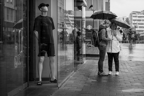 Between Rain and Reflection