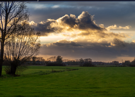 hollands landschap