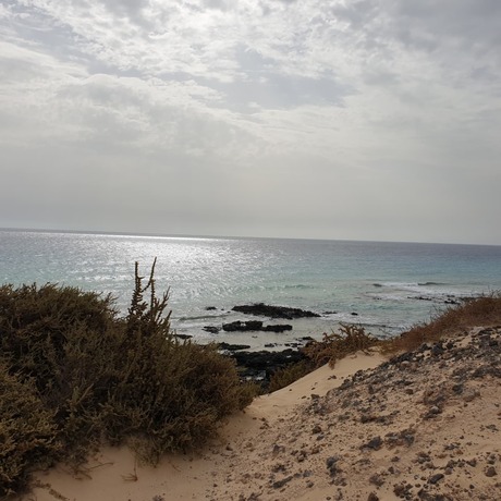 Fuerteventura 2019