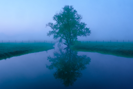 Polder reflectie