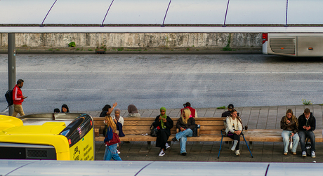 Gevarieerd gezelschap