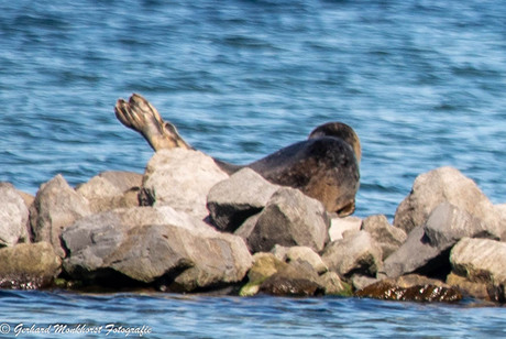 Lekker naar m'n zin...