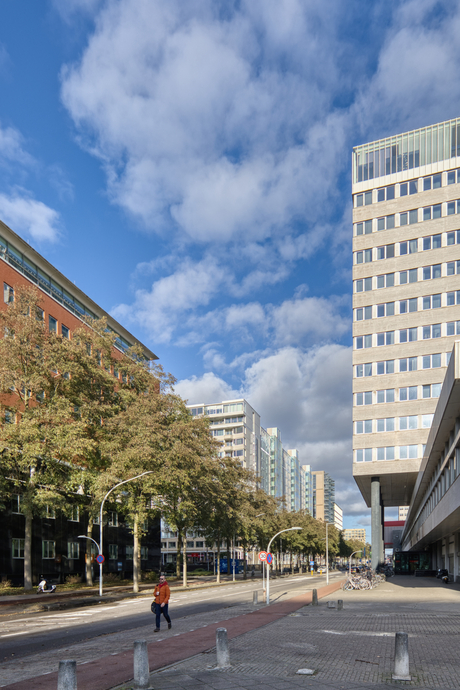 Natuur in de stad - 'recht'