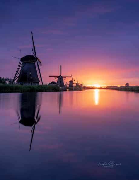 Kleur bij Kinderdijk 