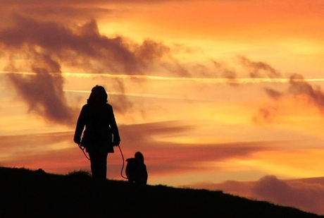 Wandelaarster met hond bij zonsondergang