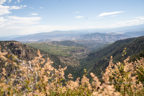 Flattops colorado