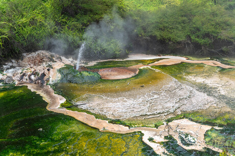 Waimangu Volcanic Valley, Nieuw Zeeland