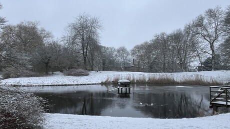 Vossenparkwijk winter