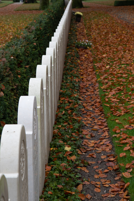 Rij grafstenen op het militair ereveld in Rhenen.