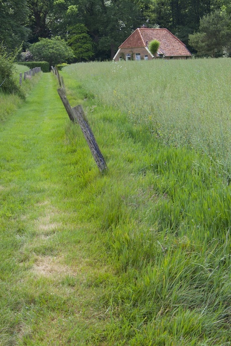 rood in het groen