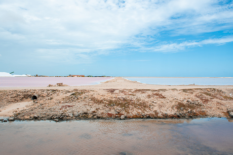 Kleurrijke zoutvlakte Bonaire