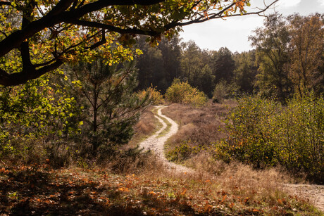 herfst