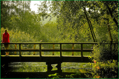 in de dierentuin.......................