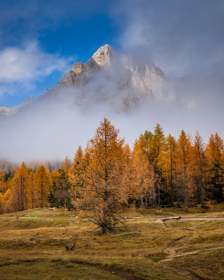 Dolomite colors