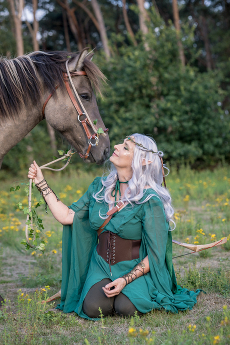 de edele vriend van het elfenrijk