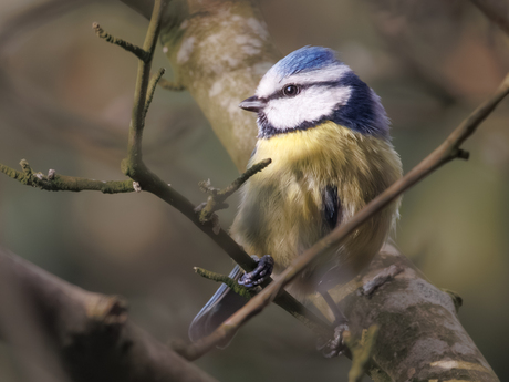 even genieten van een kleine zonnestraal