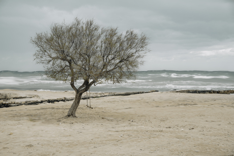 Schommelen aan zee