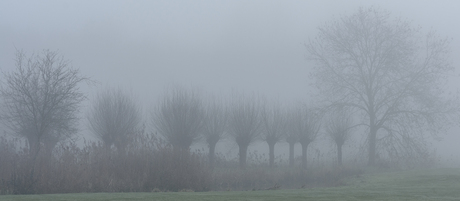 Verdwijnend in de mist