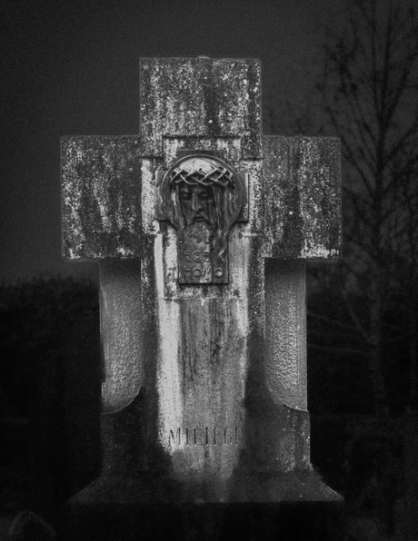 In de schaduw van het gesternte