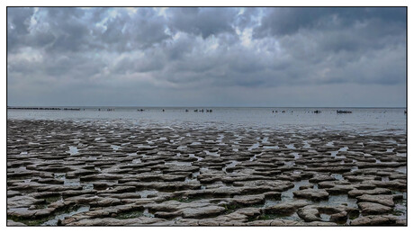 wad bij Moddergat Friesland