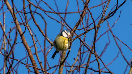 Zo lekker mijn winterjasje aan gedaan