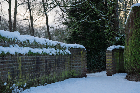 Winter in Zaltbommel
