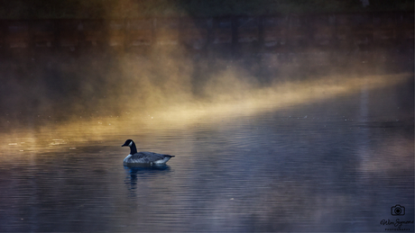 ‘S morgens in vroegte