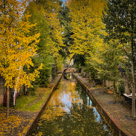 Herfst in de stad