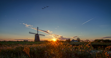 Hollands landschap