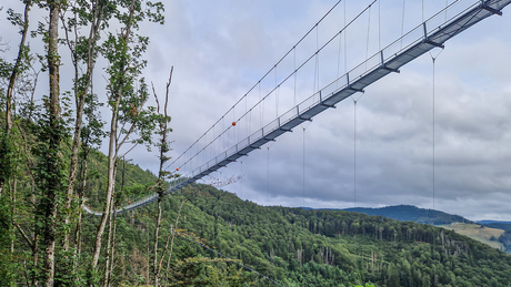 Blackforestline Todtnau (Zwarte Woud)