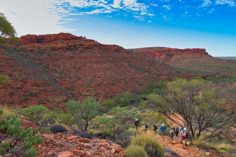 Kings Canyon RIM WALK