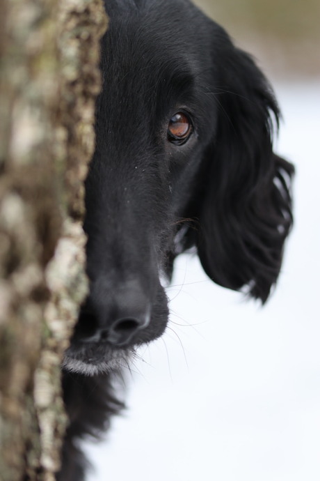 Even om het hoekje kijken 