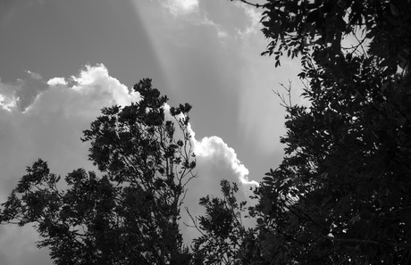 zonnestralen boven de wolk uit