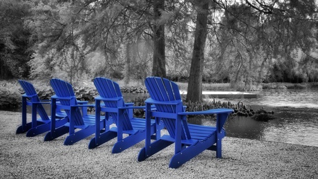 Colorsplash 