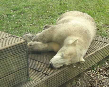 In de rouw, Otis