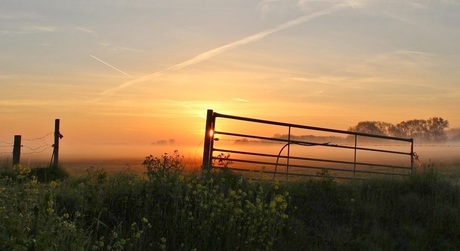 Nevelig polderlandschap bij zonsopkomst