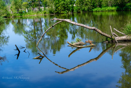 Weerspiegeling