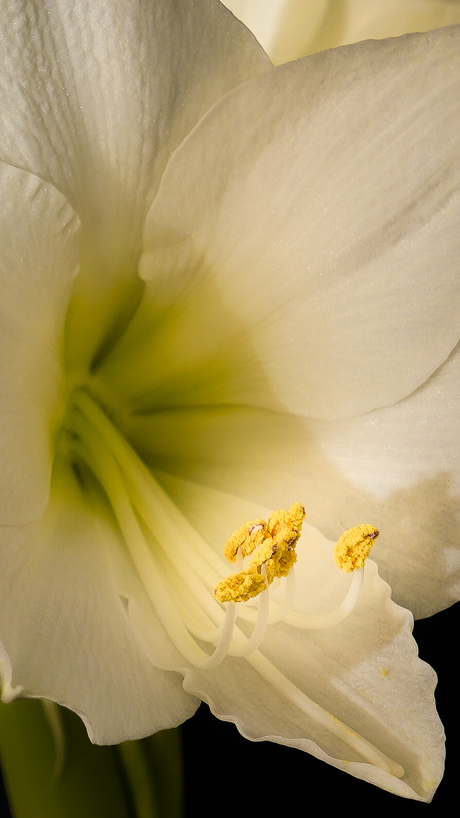 Op een presenteerblaadje... 