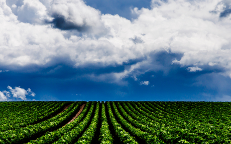 Landschap