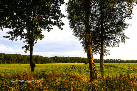 Zonsondergang in Wllemsoord