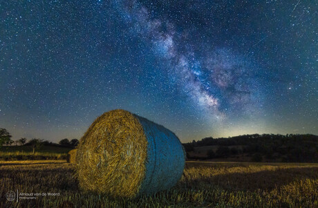 Star Gazing 