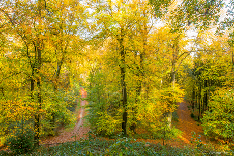 Herfstkleuren