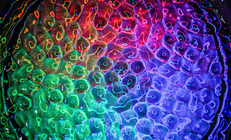 Geluidstrillingen in water 4