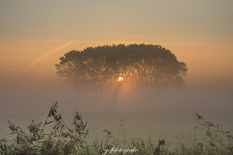 Mistige zonsopkomst in Friesland