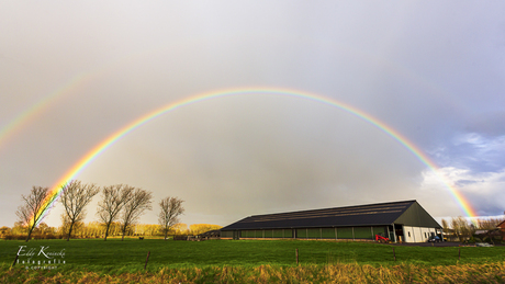 Regenboog