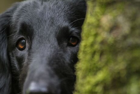 even om het hoekje kijken 
