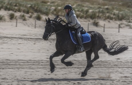 Fries op Egmondse strand.